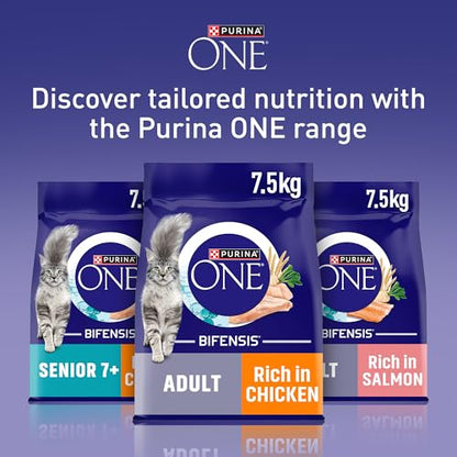 Purina One Dry Cat Food