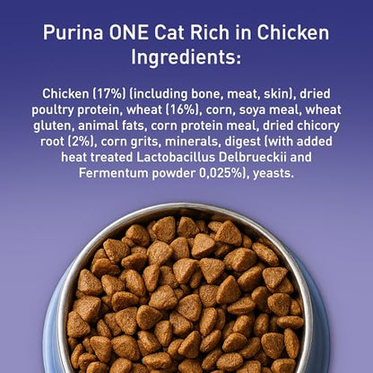 Purina One Dry Cat Food