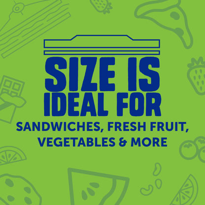 Ziploc Gallon, Quart, Sandwich, and Snack Storage Bags - Variety pack - 347 Total