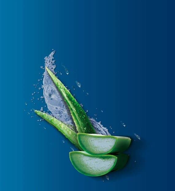 Vaseline Total Moisture Body Lotion Aloe Fresh - 10 Oz ( Pack Of 3)