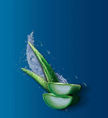 Vaseline Total Moisture Body Lotion Aloe Fresh - 10 Oz ( Pack Of 3)