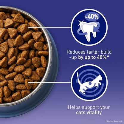 Purina One Dry Cat Food