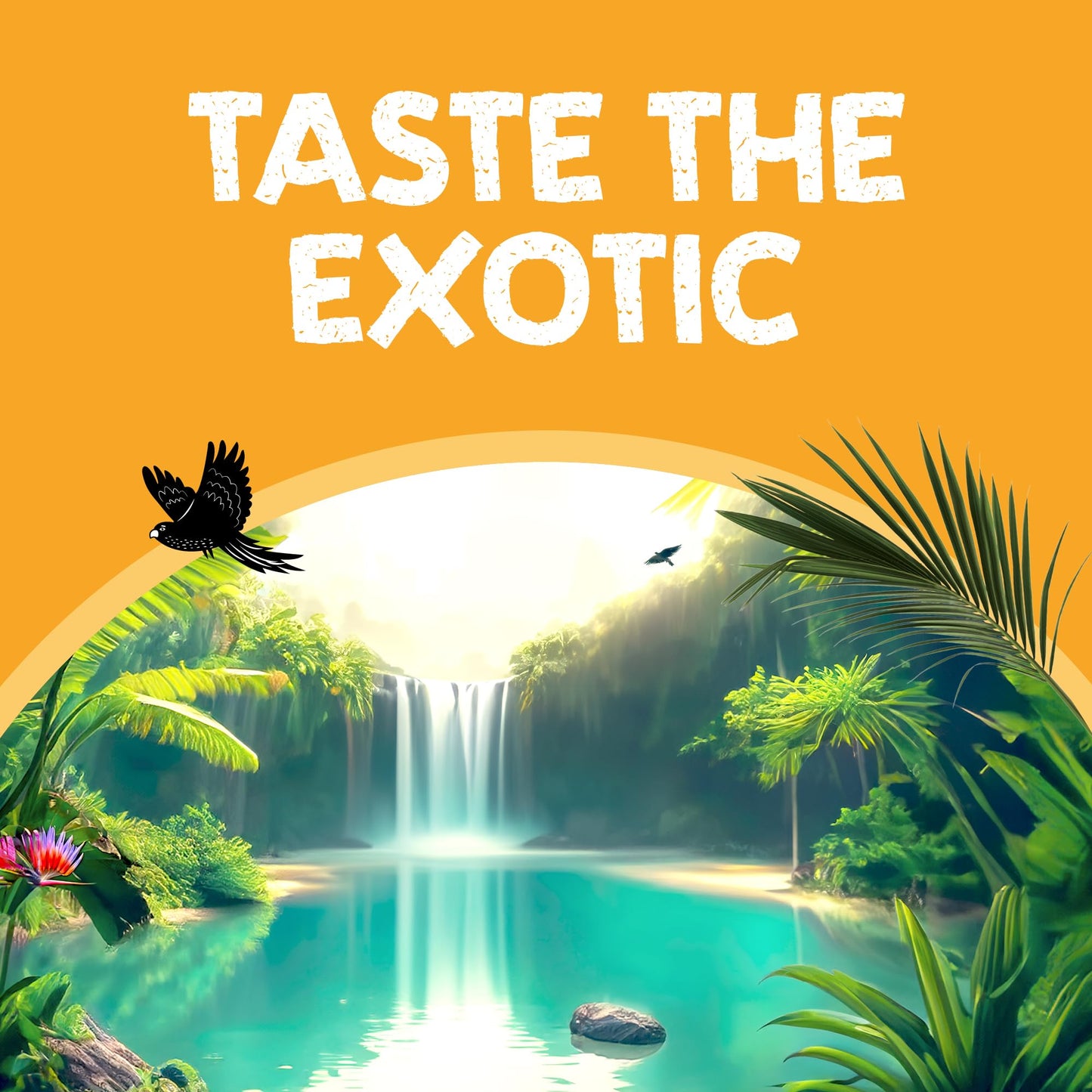 Rio DRINK_FLAVORED