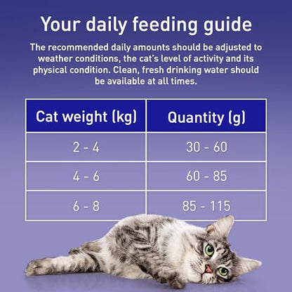 Purina One Dry Cat Food
