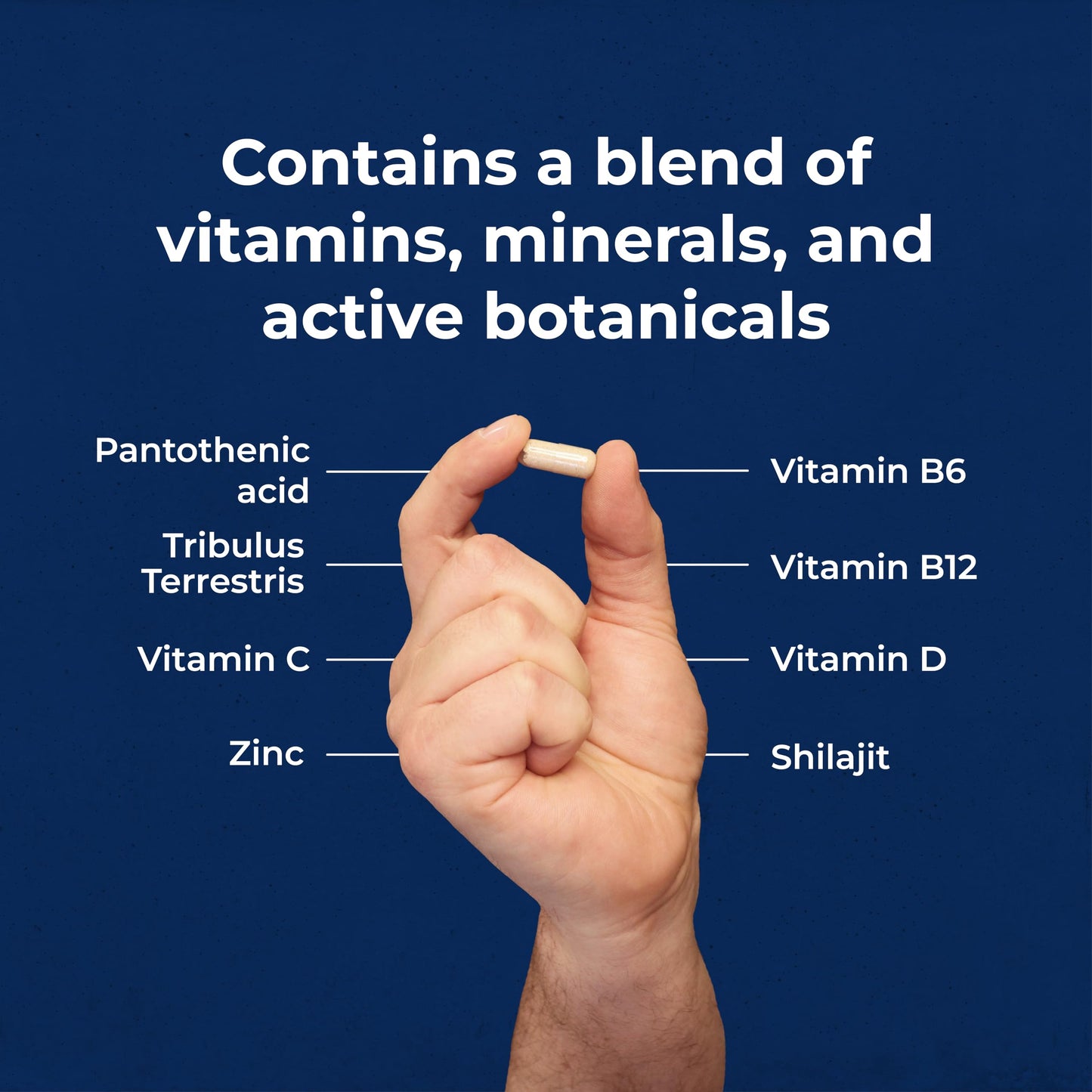 Health & Him Andropause Supplements for Men – Multivitamin Support, Vegan & Gluten Free