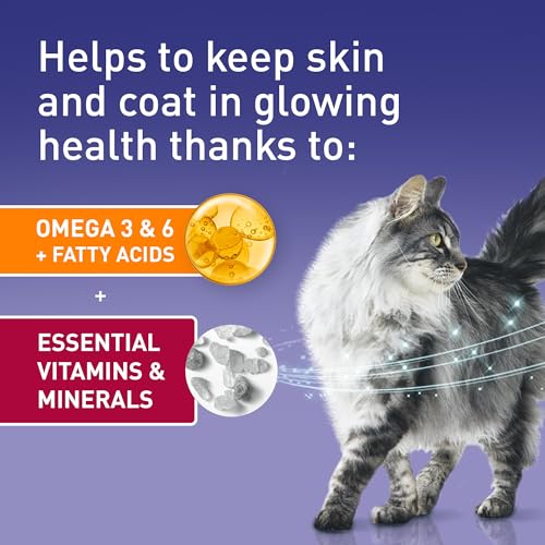 Purina One Dry Cat Food