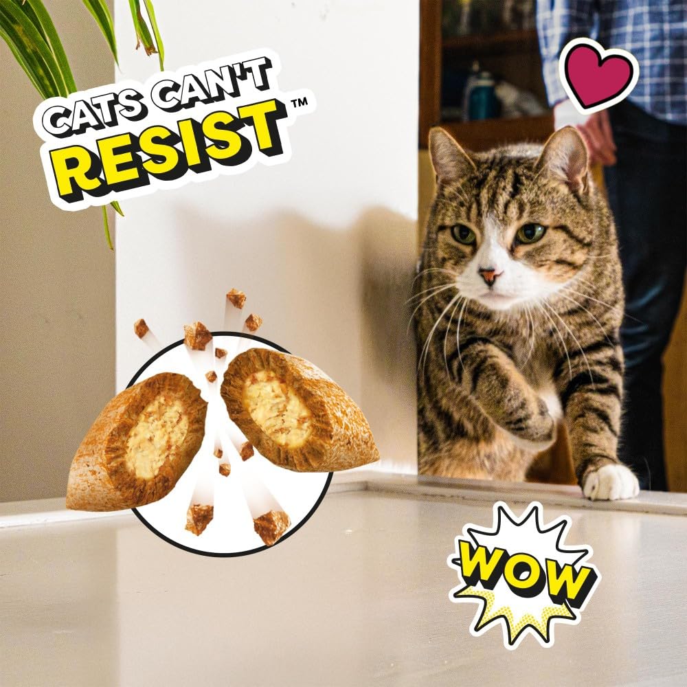DREAMIES - Tempting Cat Treats - 8 x 60 g - Beef - Multipack Biscuits - 8 Pouches