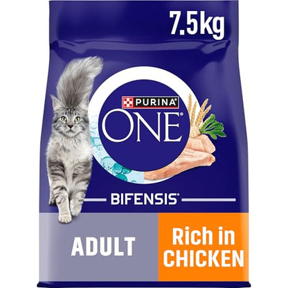 Purina One Dry Cat Food