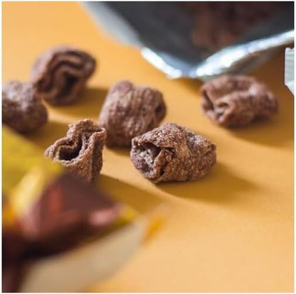 Turtle Chips Choco Churros, Chocolate and Cinnamon Flavour, 481g, Korean Snack