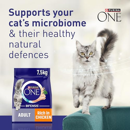 Purina One Dry Cat Food