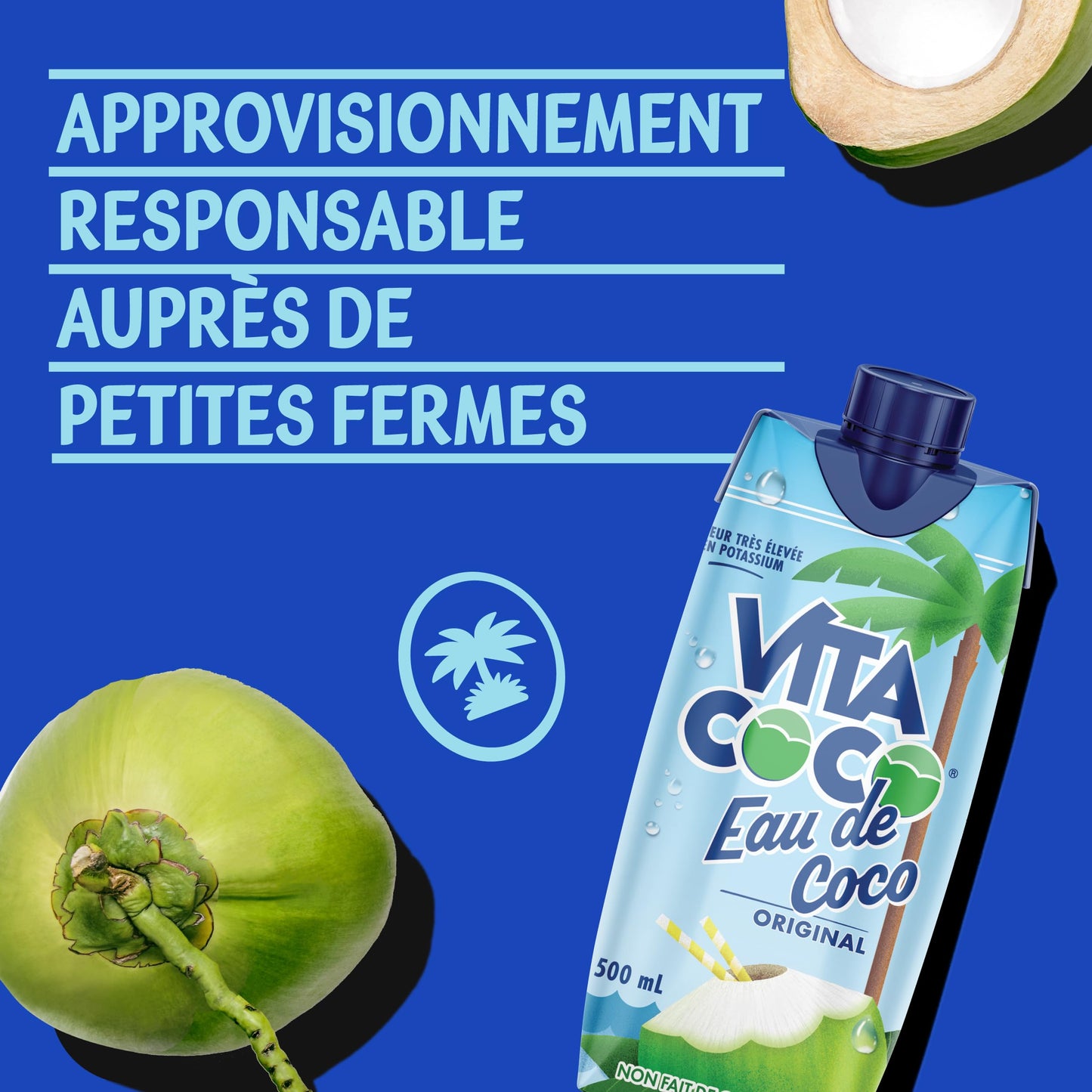 Vita Coco, 500 ml (Pack of 12), Pure, Old