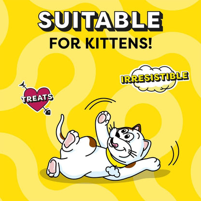 DREAMIES - Tempting Cat Treats - 8 x 60 g - Beef - Multipack Biscuits - 8 Pouches