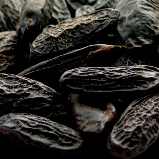Yodeyma Paris Dinara Eau de Parfum 15ml