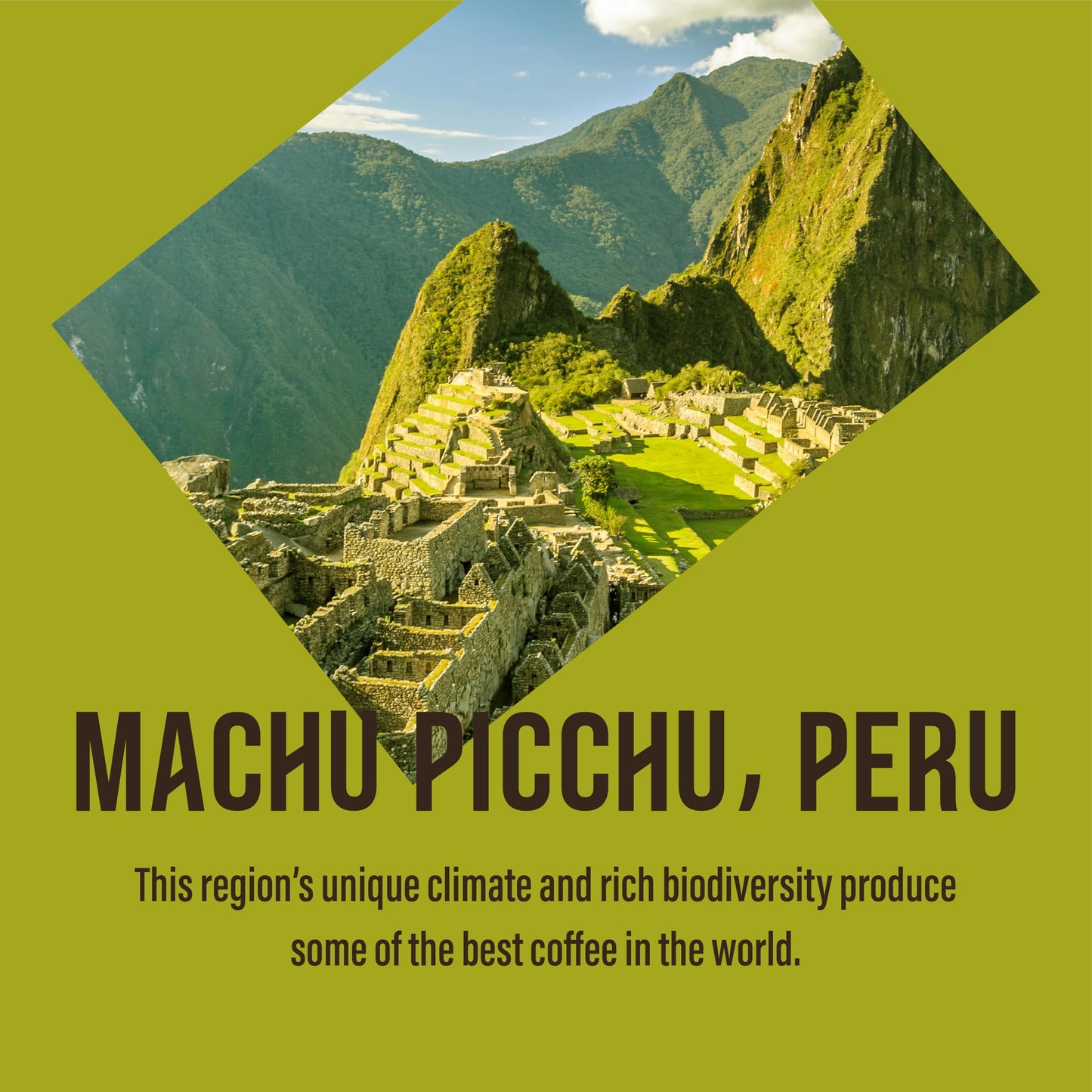 Cafédirect Fairtrade Machu Picchu Whole Bean Arabica Coffee, 200 g (Pack of 6)