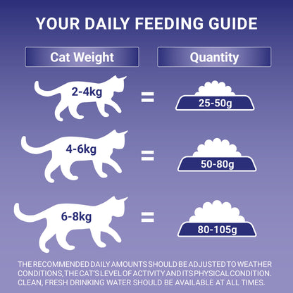 Purina One Dry Cat Food