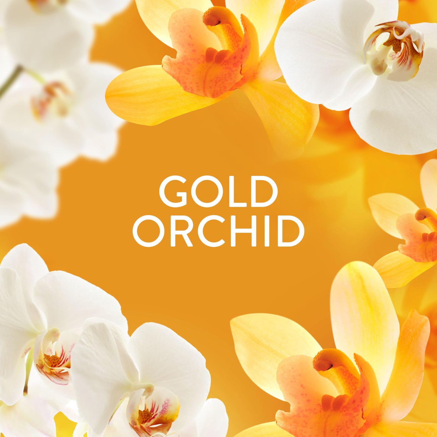 Lenor Laundry Perfume Scent Booster 735g, Gold Orchid, Non-Stop Freshness Up to 12 Weeks in Storage, Granules