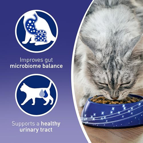 Purina One Dry Cat Food